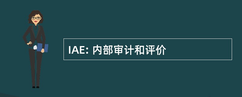 IAE: 内部审计和评价