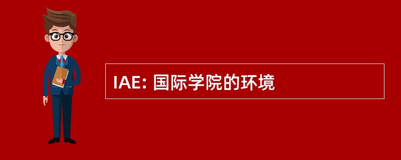 IAE: 国际学院的环境