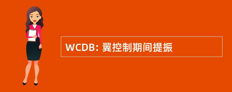 WCDB: 翼控制期间提振