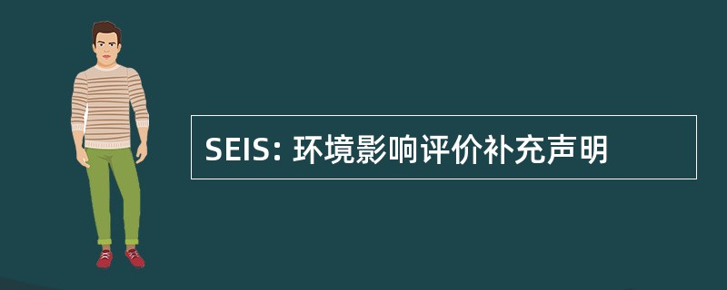 SEIS: 环境影响评价补充声明