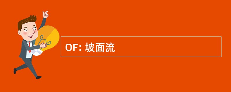 OF: 坡面流