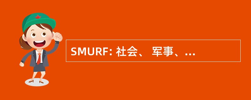 SMURF: 社会、 军事、 教育、 宗教和兄弟