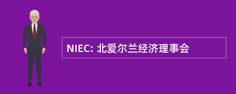 NIEC: 北爱尔兰经济理事会