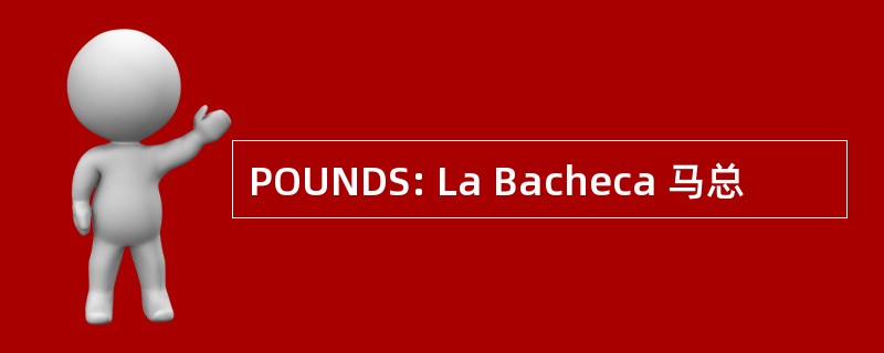 POUNDS: La Bacheca 马总