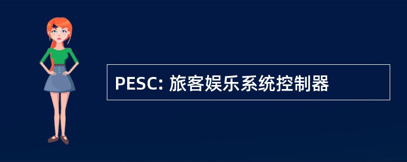 PESC: 旅客娱乐系统控制器