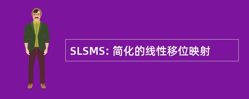 SLSMS: 简化的线性移位映射