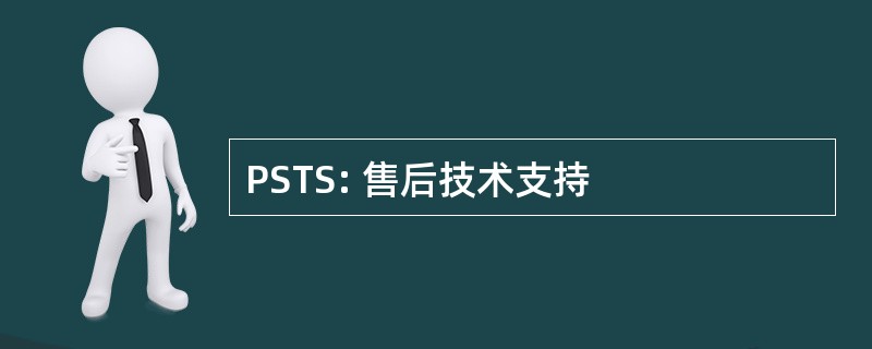 PSTS: 售后技术支持