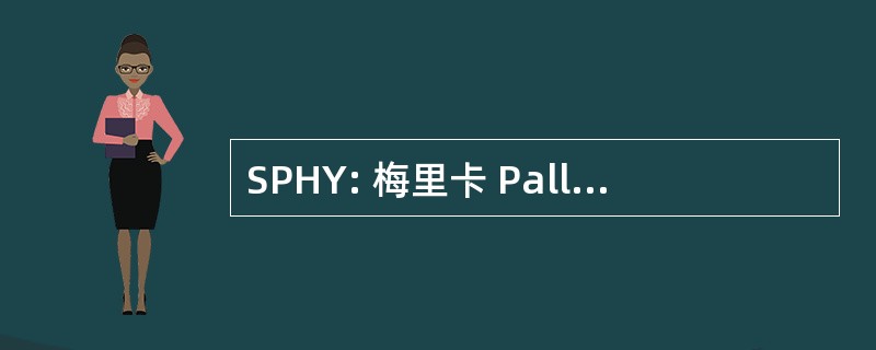 SPHY: 梅里卡 Palliatiivisen Hoidon Yhdistys