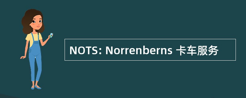 NOTS: Norrenberns 卡车服务