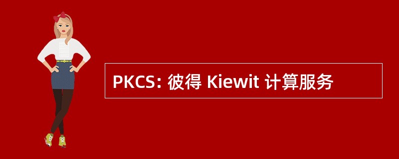 PKCS: 彼得 Kiewit 计算服务