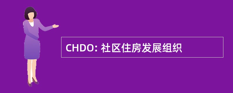 CHDO: 社区住房发展组织