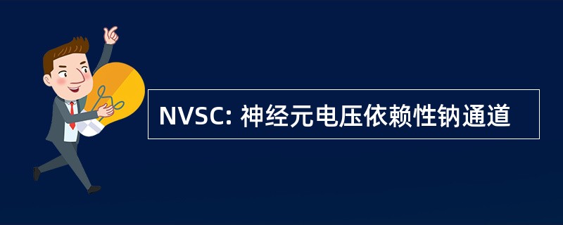 NVSC: 神经元电压依赖性钠通道