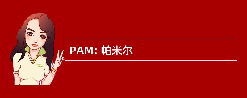 PAM: 帕米尔