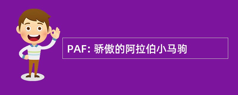 PAF: 骄傲的阿拉伯小马驹