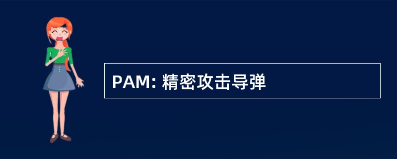 PAM: 精密攻击导弹