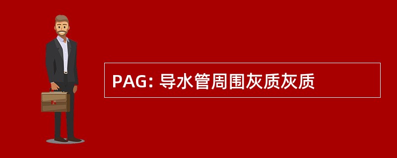 PAG: 导水管周围灰质灰质