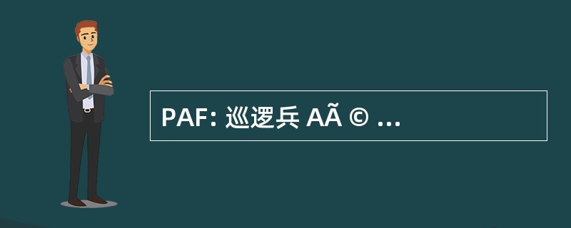 PAF: 巡逻兵 AÃ © rienne de 法国