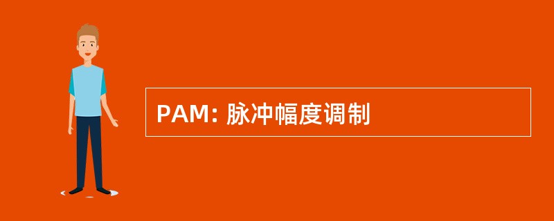 PAM: 脉冲幅度调制