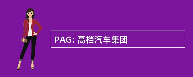 PAG: 高档汽车集团