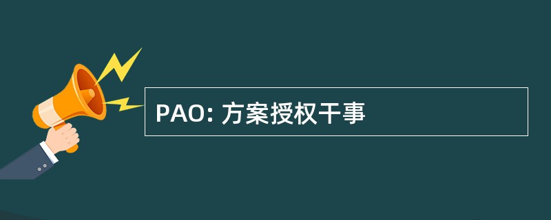 PAO: 方案授权干事