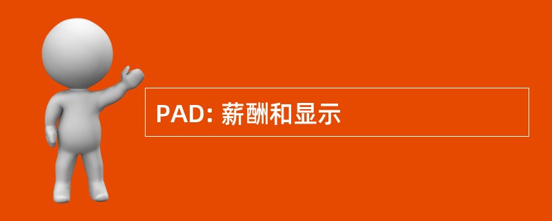 PAD: 薪酬和显示