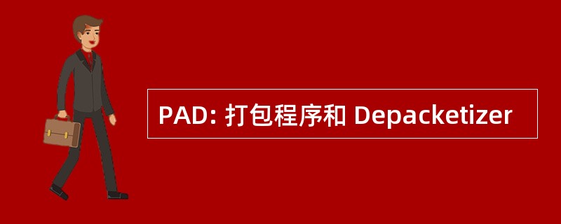 PAD: 打包程序和 Depacketizer