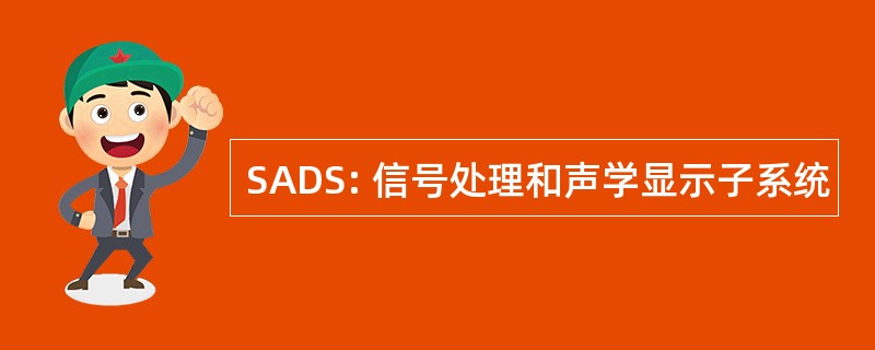 SADS: 信号处理和声学显示子系统