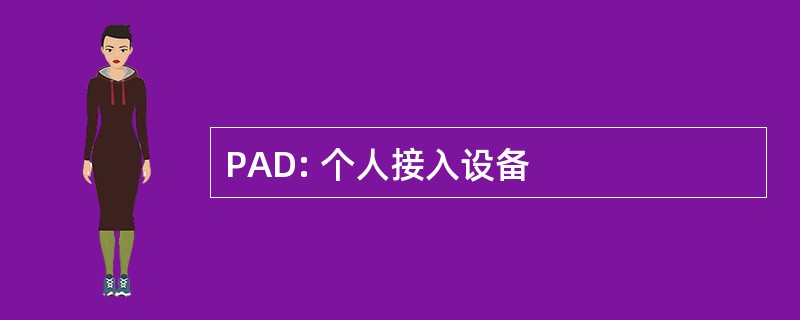 PAD: 个人接入设备