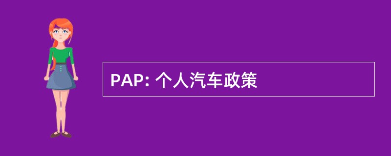 PAP: 个人汽车政策