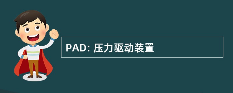 PAD: 压力驱动装置