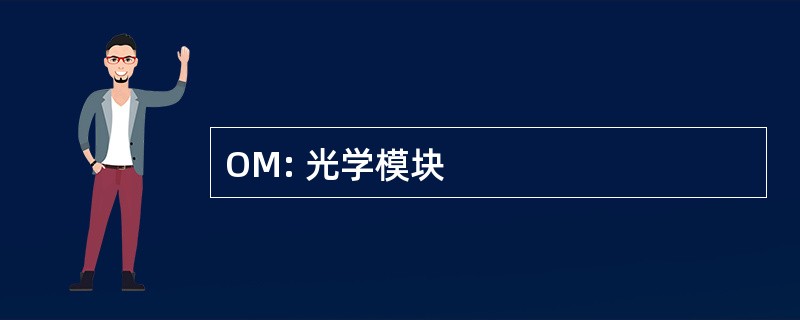 OM: 光学模块