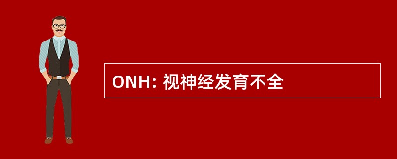 ONH: 视神经发育不全