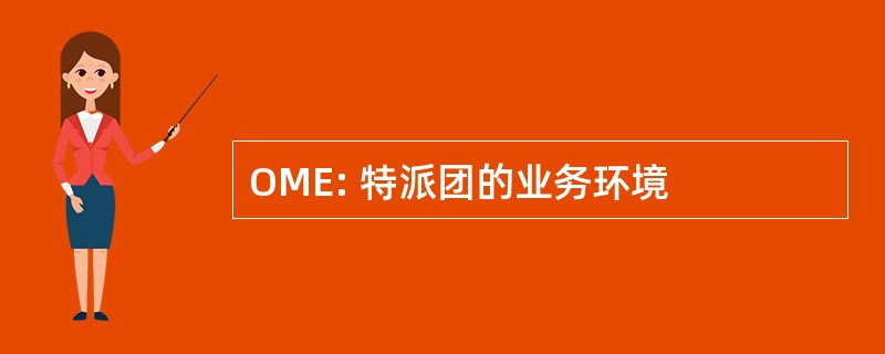 OME: 特派团的业务环境