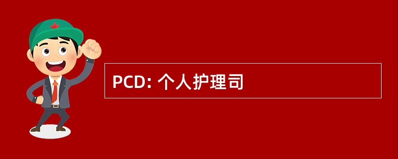 PCD: 个人护理司