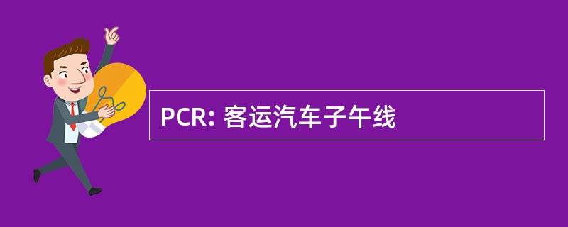 PCR: 客运汽车子午线