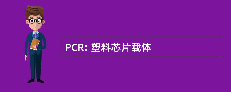 PCR: 塑料芯片载体