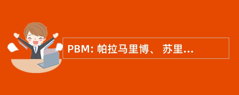 PBM: 帕拉马里博、 苏里南-沙坑国际