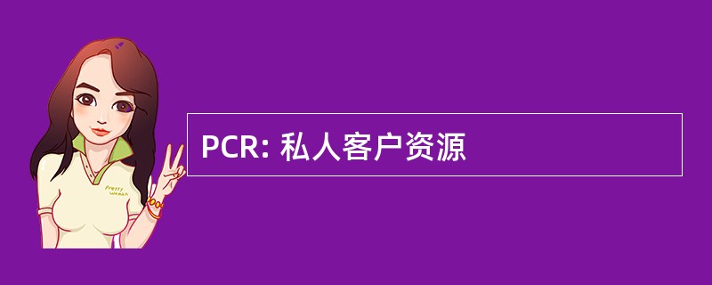 PCR: 私人客户资源