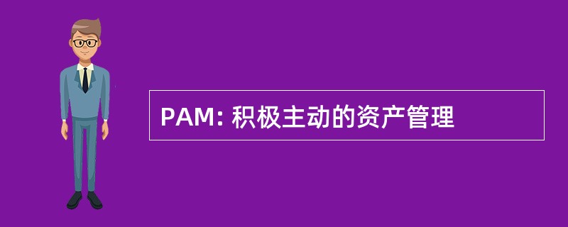 PAM: 积极主动的资产管理