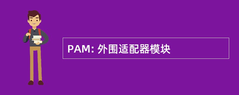 PAM: 外围适配器模块