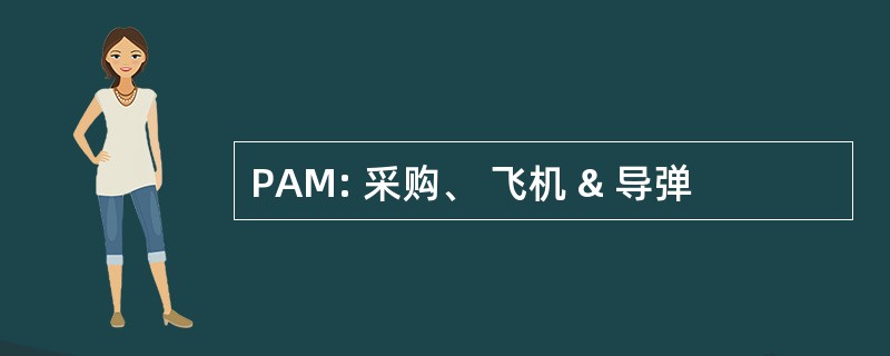 PAM: 采购、 飞机 & 导弹