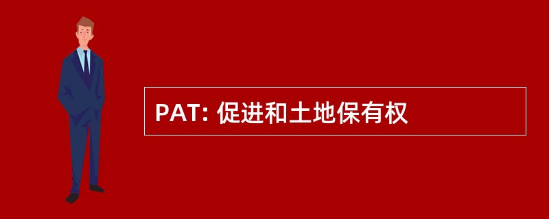 PAT: 促进和土地保有权