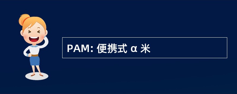 PAM: 便携式 α 米