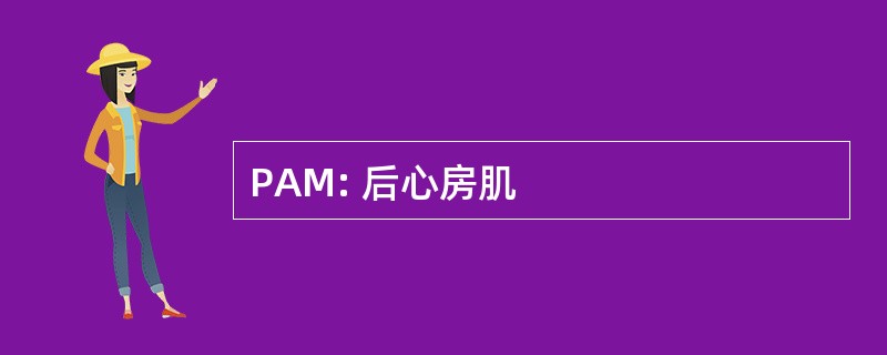 PAM: 后心房肌