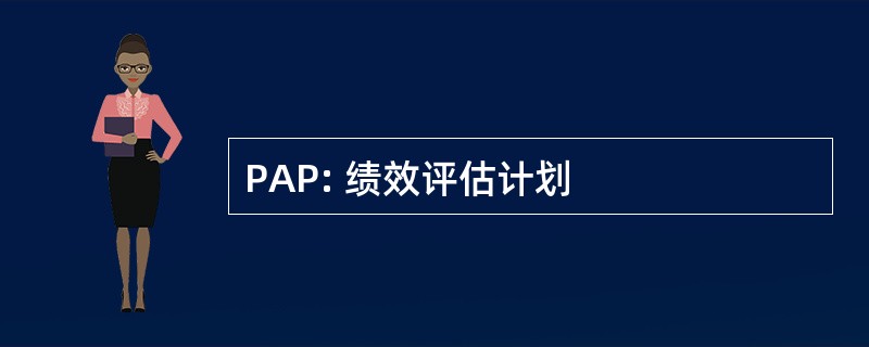 PAP: 绩效评估计划