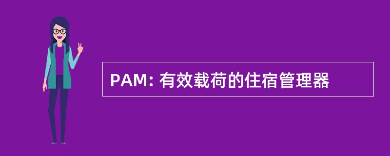 PAM: 有效载荷的住宿管理器