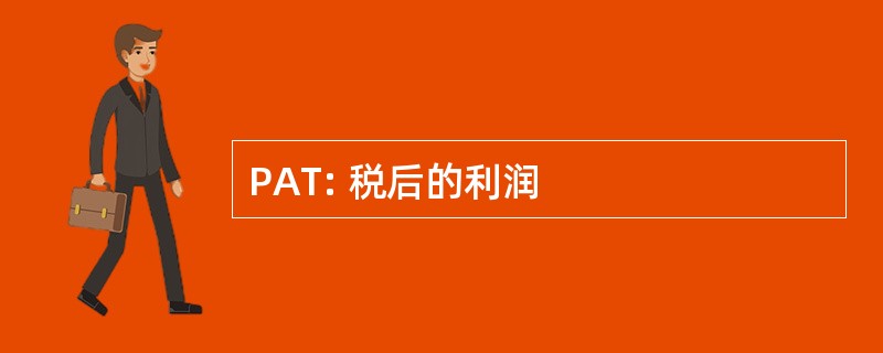 PAT: 税后的利润