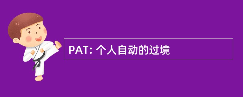 PAT: 个人自动的过境