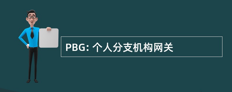 PBG: 个人分支机构网关