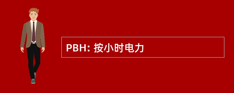 PBH: 按小时电力